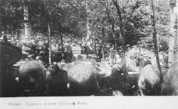 Bjørnsons Romsdal, Romsdalens Bjørnstjerne