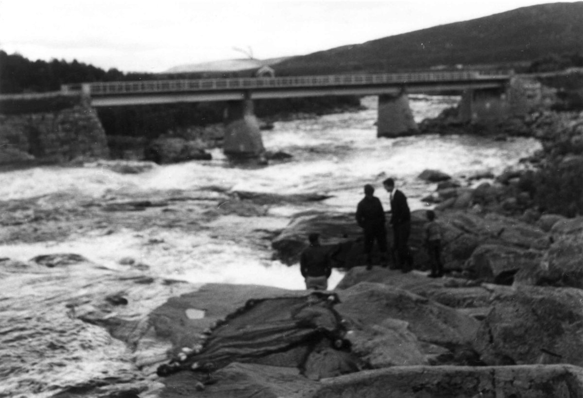 Kastenotfiske i Skoltefossen. Noten ligger ferdig på fjellet, i bakgrunnen en bro. Neiden 1968.