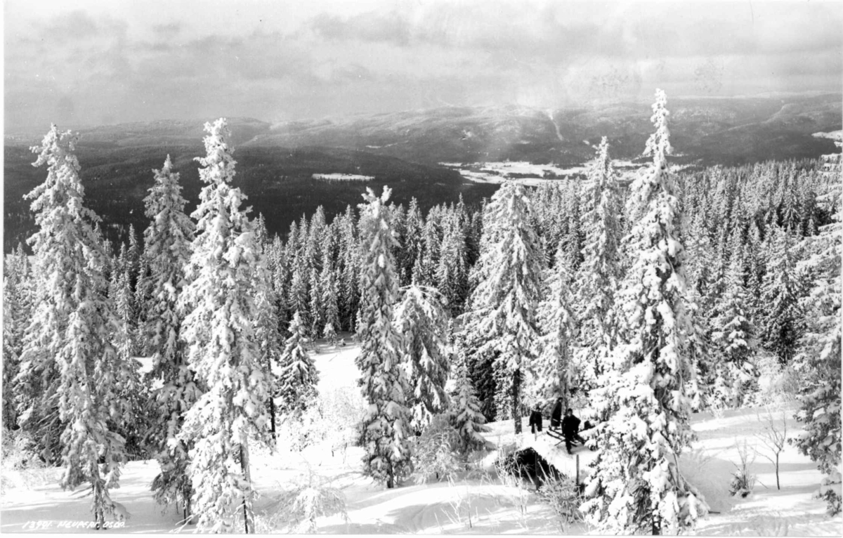 Utsikt fra Tryvannshøgda, Oslo 1936. Vinterbilde med snøtunge trær.