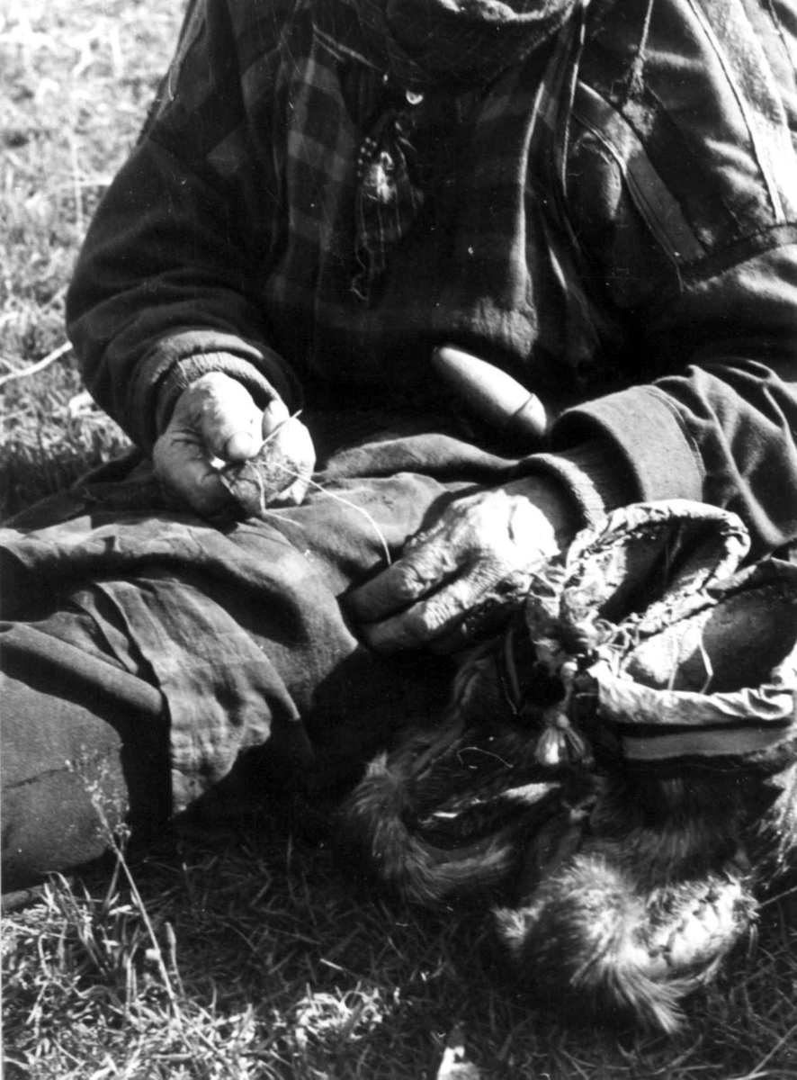 Skallesøm. En person syr skaller. Lyngen, Troms 1947.