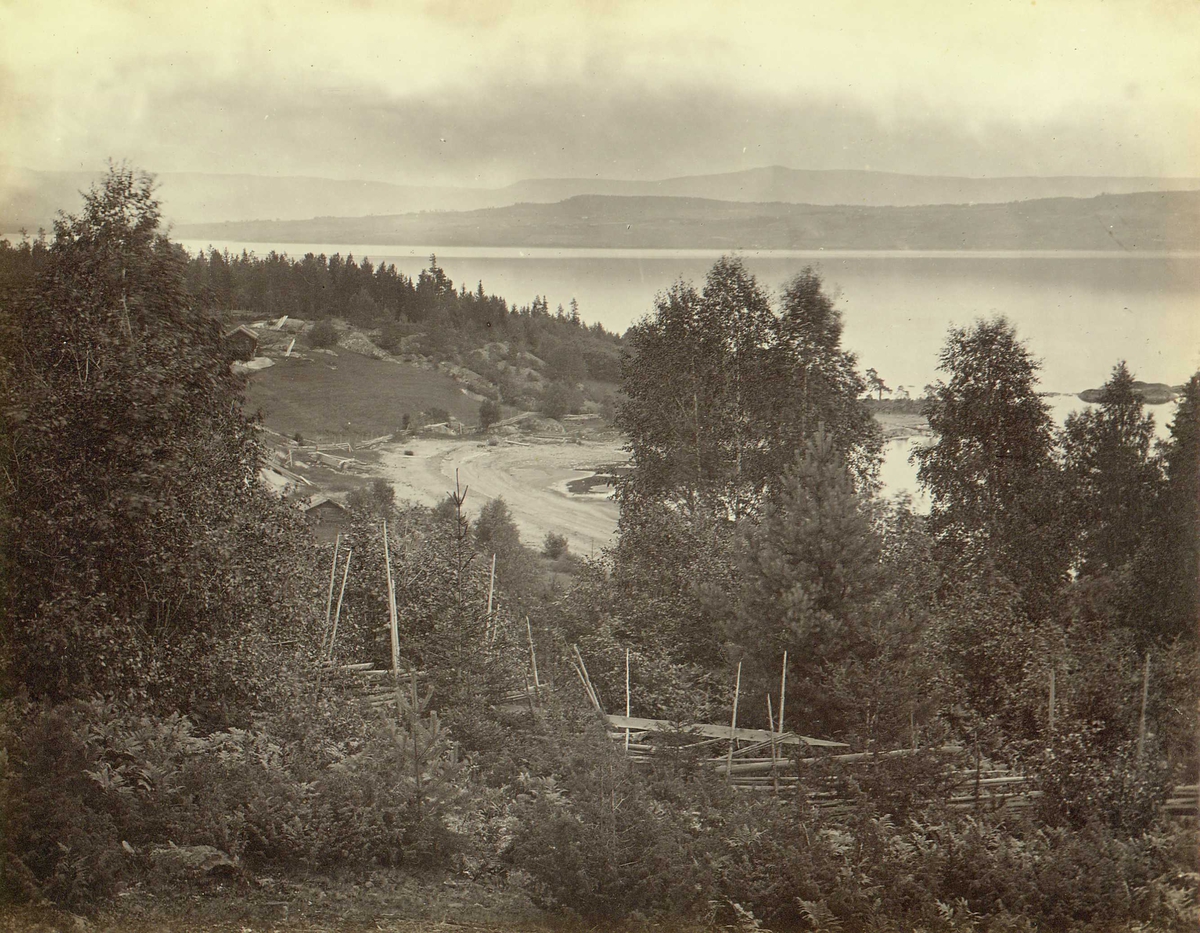 Landskap ved Tyrifjorden, nær Hollerud, Ringerike, Buskerud. "Tyri fiord near Hollerud in Modum".
Fra serie norske landskapsfotografier tatt av den engelske fotografen Henry Rosling (1828-1911).
