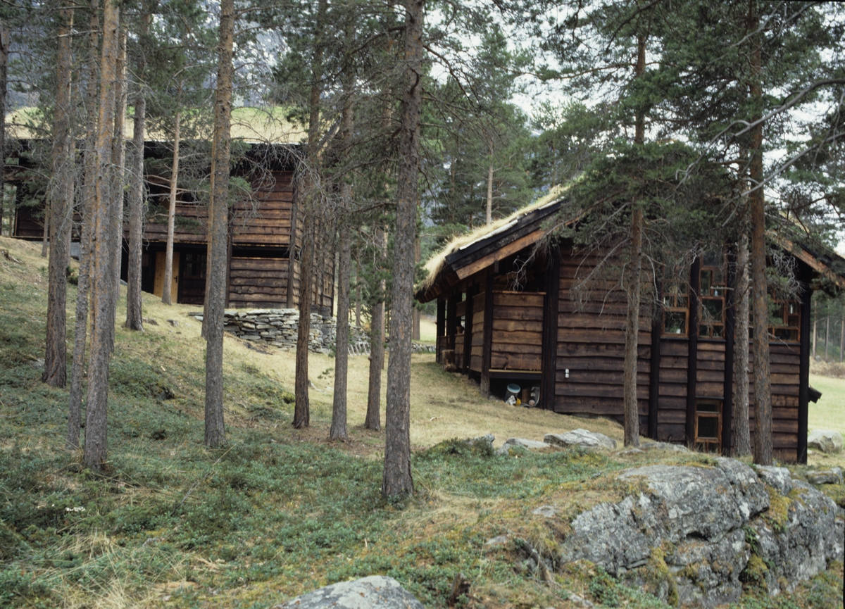 To eneboliger bygget 1982 etter stedlige byggetradisjoner  i Bøverdalen, Lom, Oppland. Arkitekter Karl Heldal og Helge Saatvedt.  Illustrasjonsbilde fra Bonytt 1986.