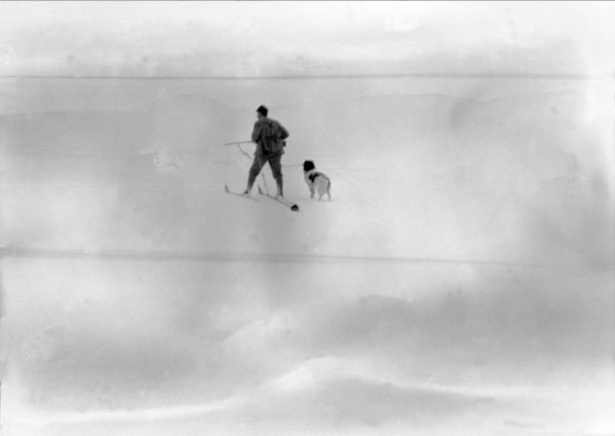 En mann med gæver og hund går på ski på en slette. Robsahm og Lund.