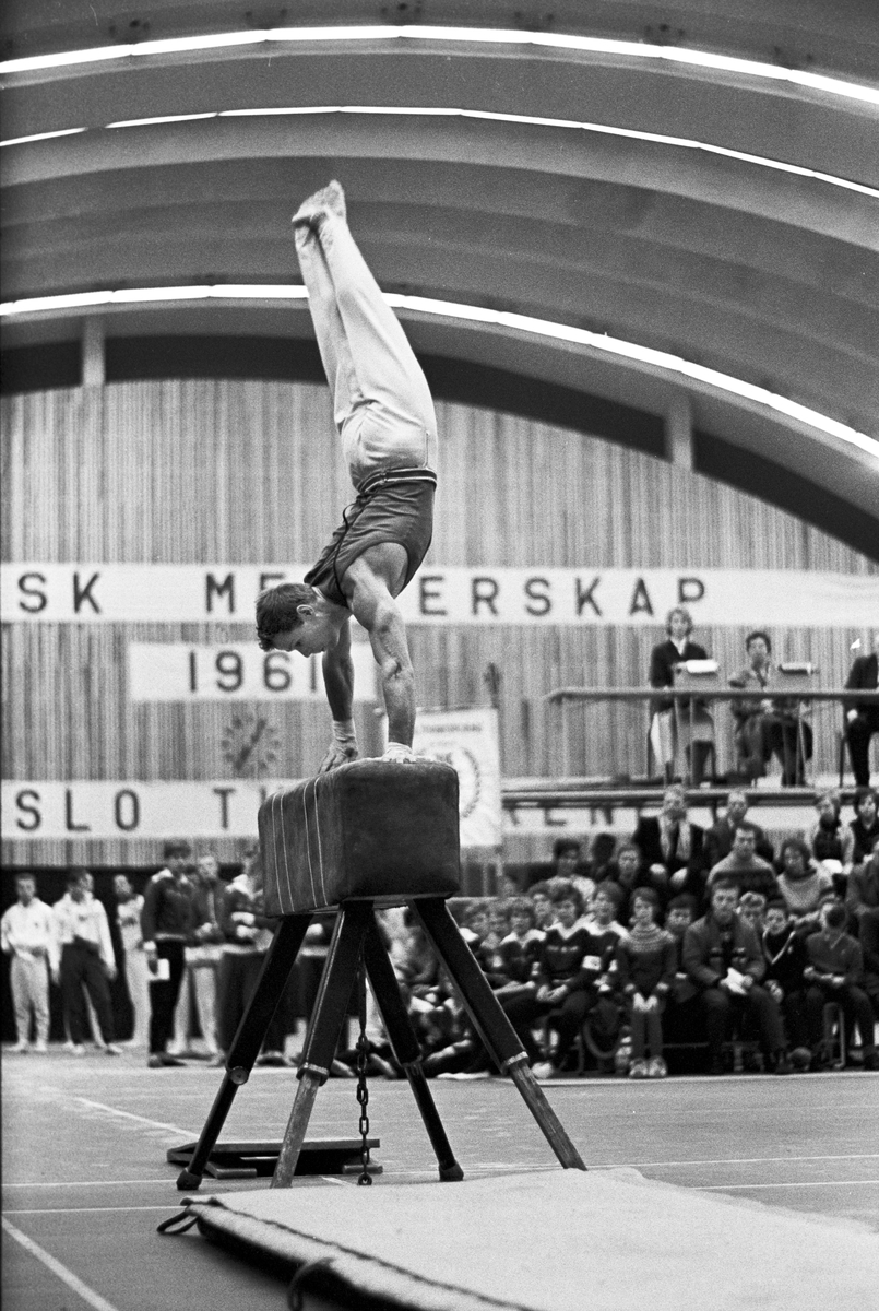 Serie. Nordisk Mesterskap i turn for herrer i Njårdhallen i Oslo, herrer i bøylehest og svingstang. Fotografert desember 1961.