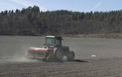 Serie av bilder av såing av korn på Kongsgården.