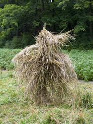 Norsk Folkemuseum, august 2010. Korn henger til tørk på korn