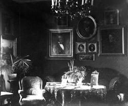 Avfotografering. Stueinteriør, møbler, malerier og grønne pl