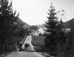 Tinnoset, Gransherad, Notodden, Telemark. Hest og vogn på la