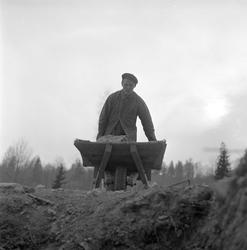 Anleggsarbeidere for jernbanen, mann med trillebåre, mai 195