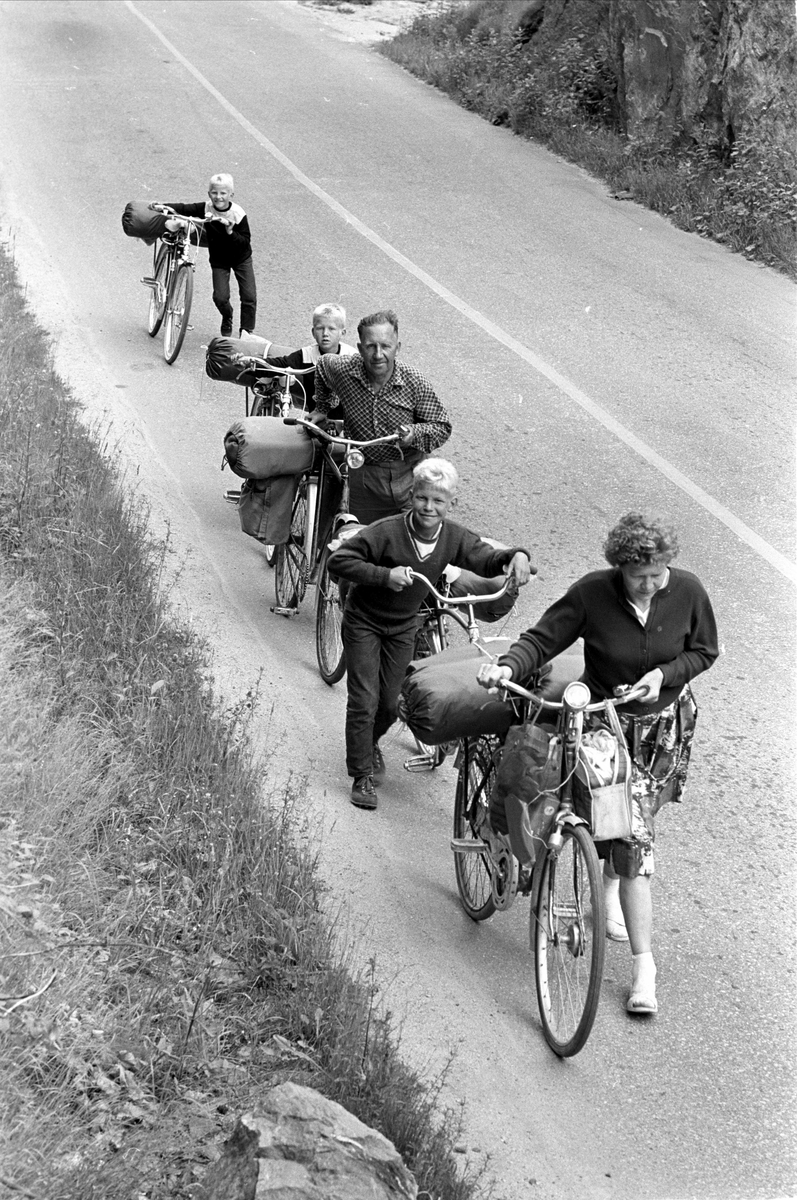 Langs riksvei 40, juli 1963. Familie på sykkeltur.