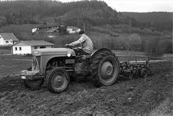 Våronn ved Hokksund, Øvre Eiker, mai 1963. Traktor på jordet