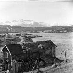 Saltstraumen, Bodø, Nordland, april 1963. Låve og landskap.