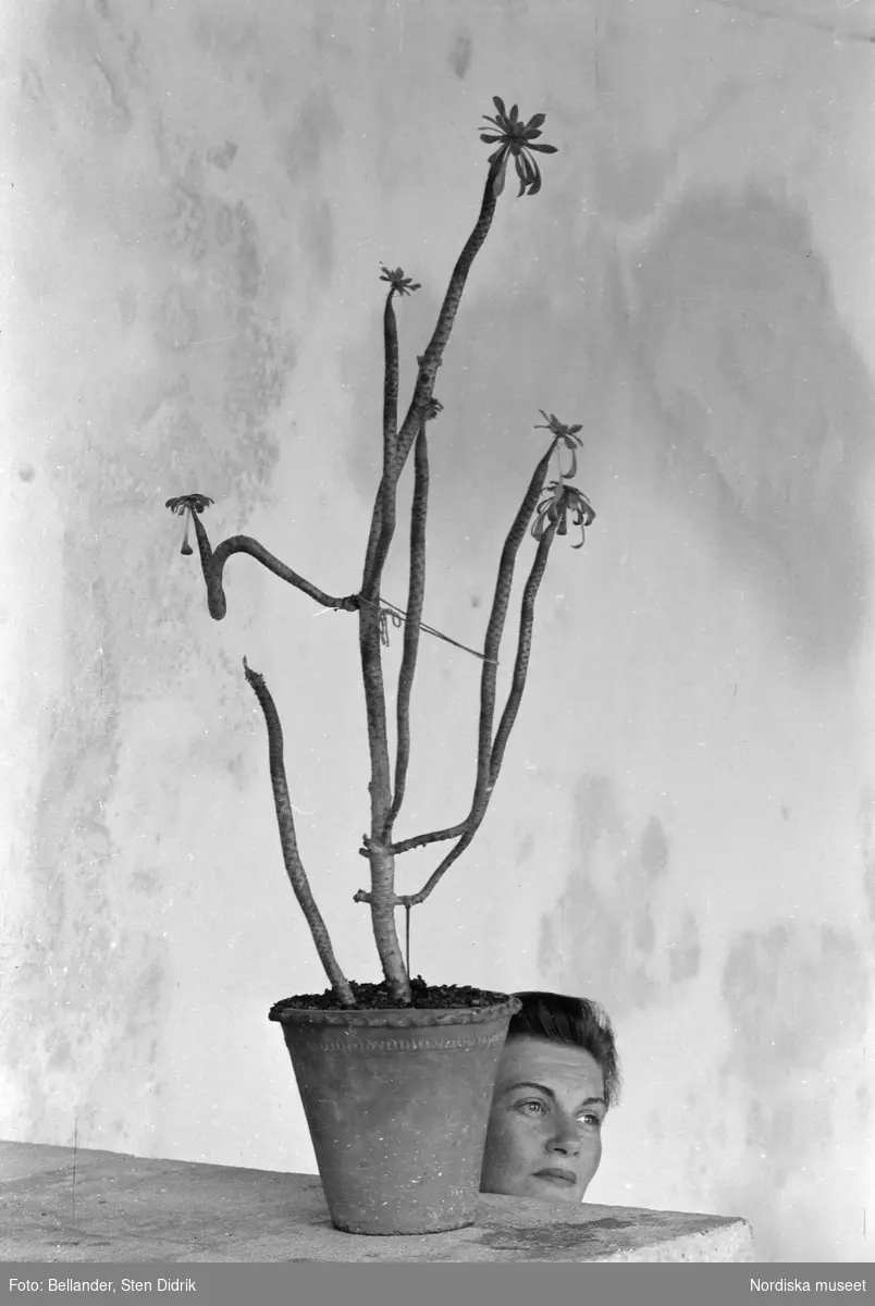 Fotografens hustru Elsie poserar vid en krukväxt.
Hvar, Jugoslavien.