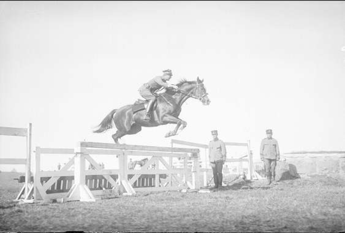 LHOS vårtävlingar i prishoppning 1933. Tävlingshästen Gwydir importerat engelskt fullblod.
