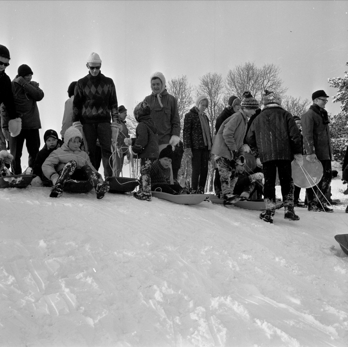 Pulkaåkare i Torslundabacken, Tierp, Uppland 1967