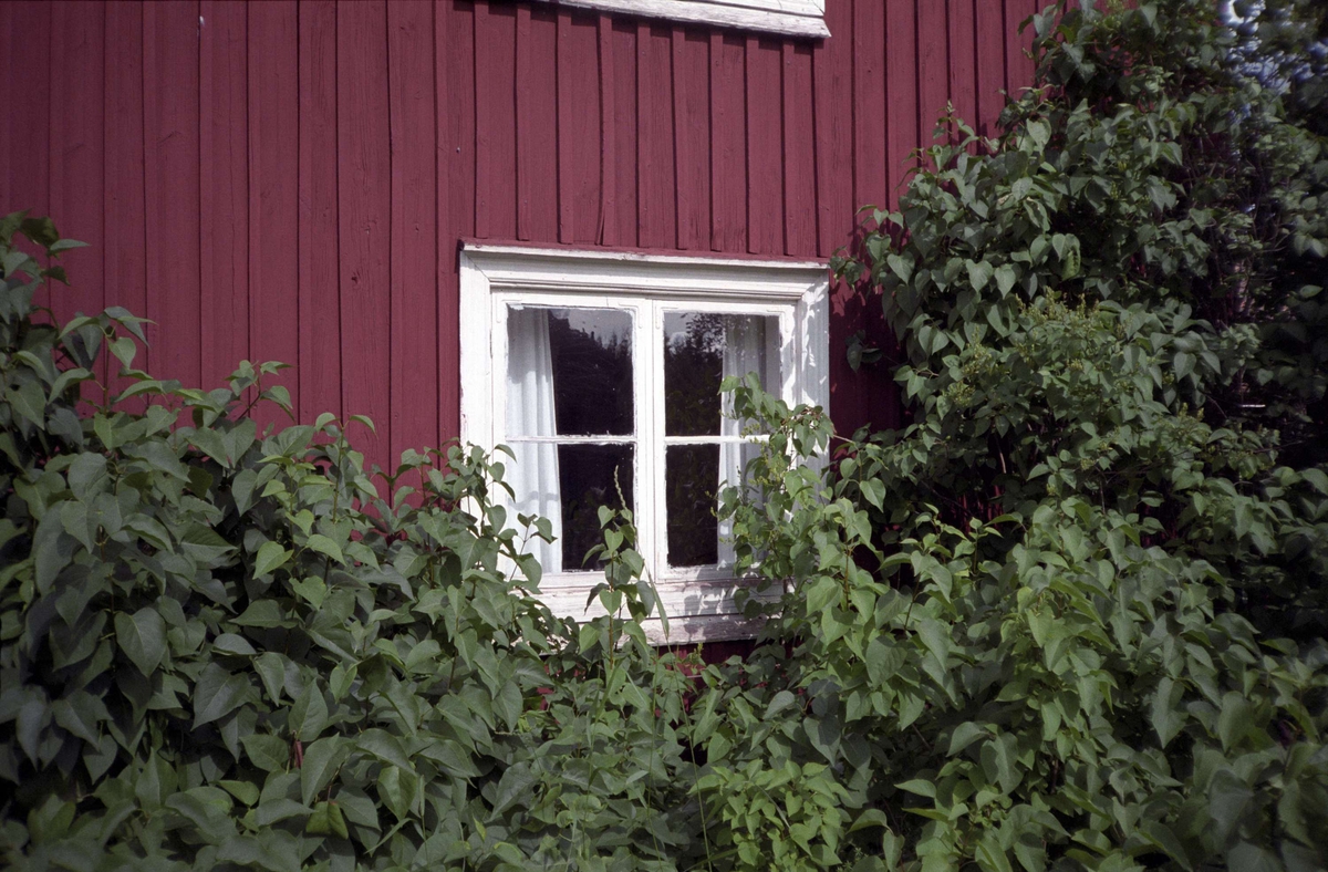 Fönster på bostadshus, Norra Bruksgatan i Lövstabruk, Österlövsta socken, Uppland 1995