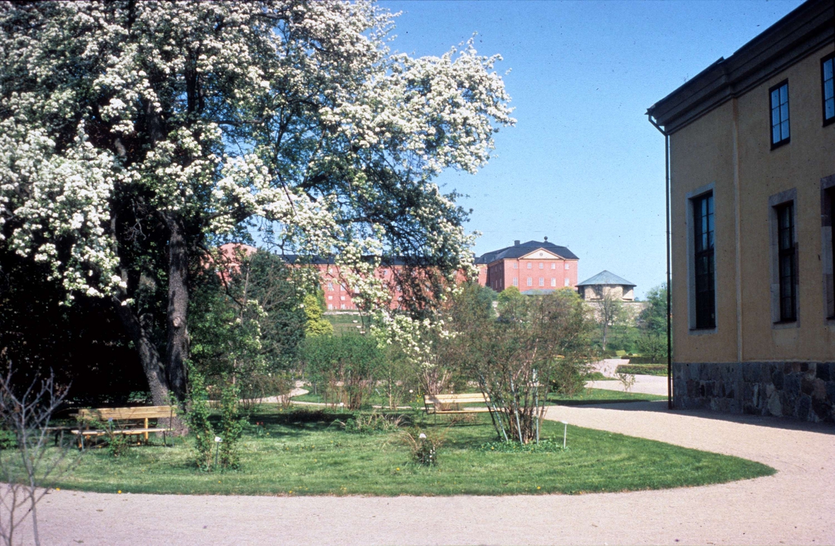 Botaniska trädgården, Uppsala 1987