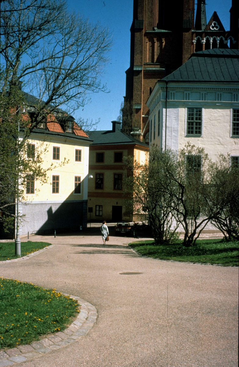 Historicum och Gustavianum i Universitetsparken, Uppsala 1987