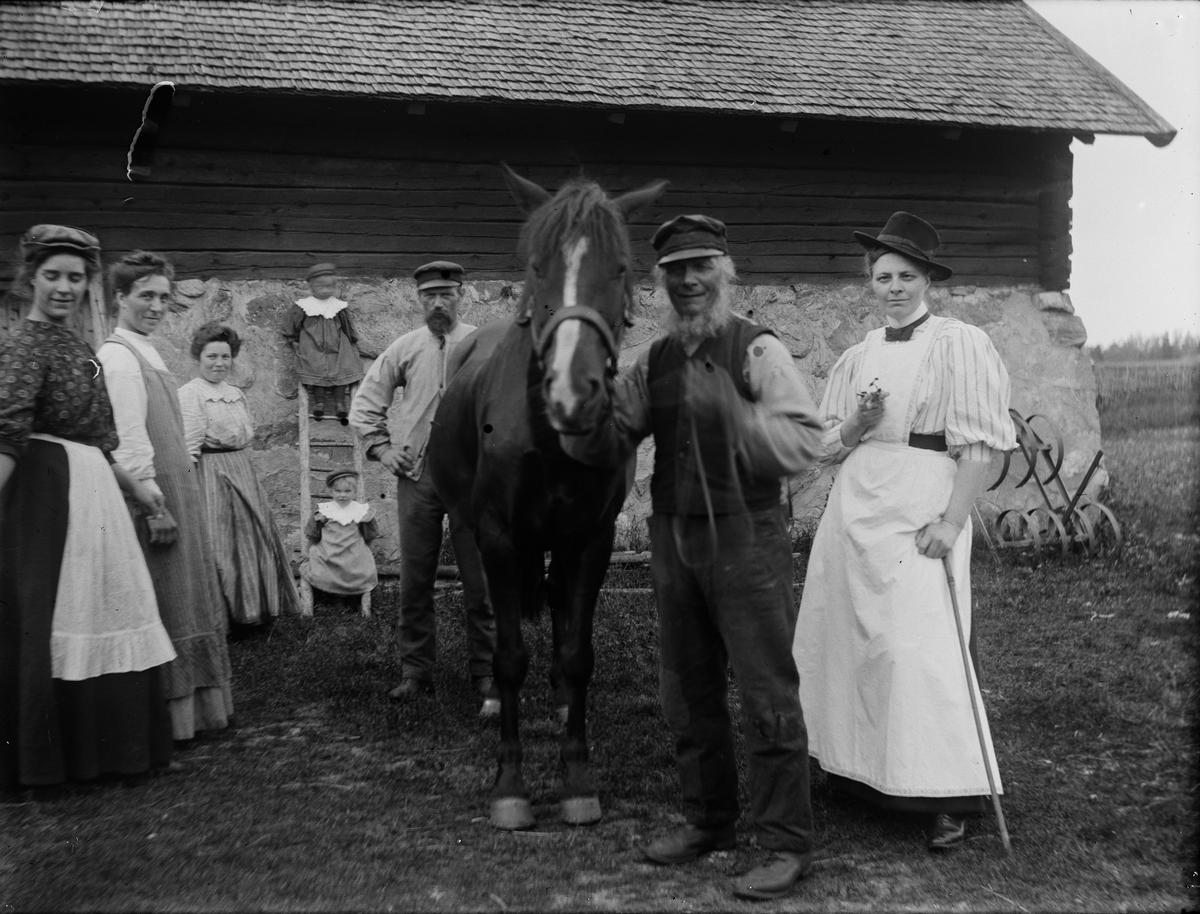 Hästen Bläsen och familjen Hållinder med flera, Hållen, Hållnäs socken, Uppland 1910