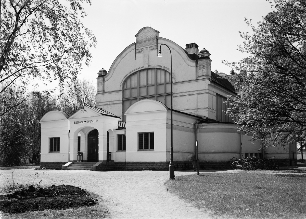 Biologiska museet, Skolparken, Uppsala 1941