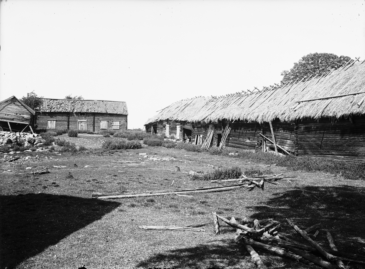Gårdsmiljö - Ågren, Tjocksta, Danmarks socken, Uppland 1920-tal