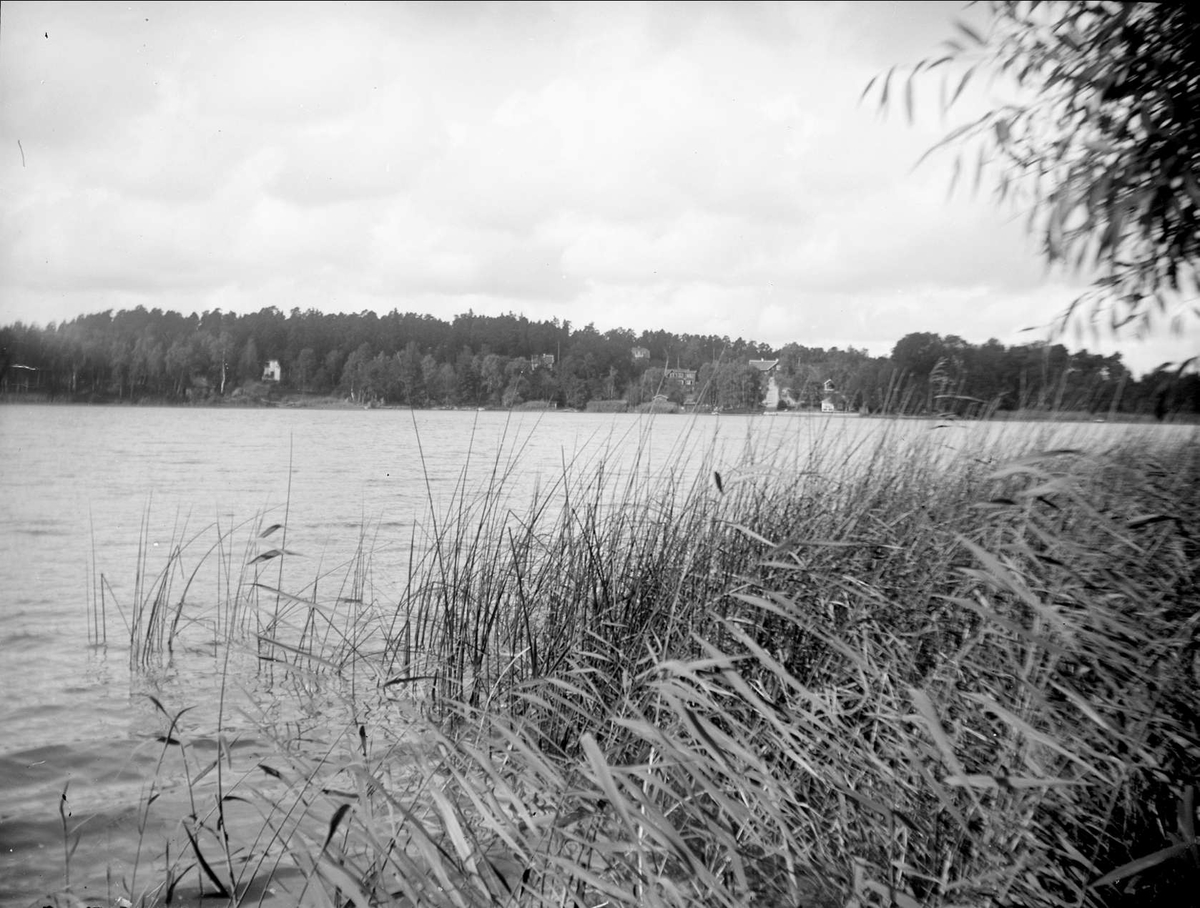 Sjövik nära Bollstanäs i Fresta socken, Uppland, september 1925