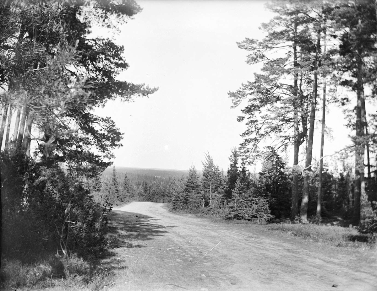 Landsskapsvy och väg vid Molnebo, Västerlövsta socken, Uppland i maj 1921