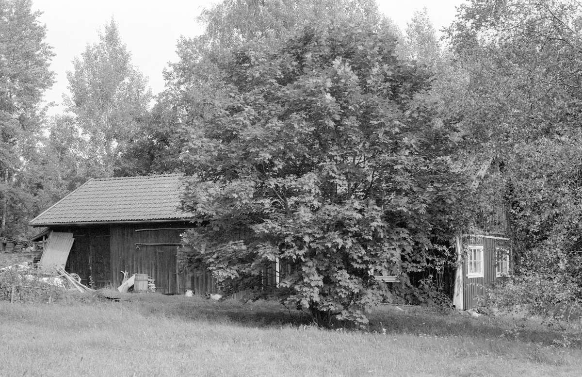 Uthuslänga, Bergalund, Ösby, Knutby socken, Uppland 1987