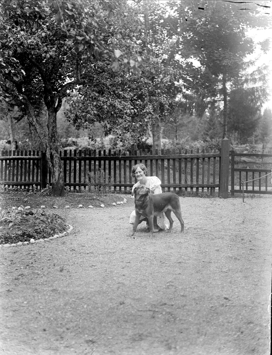 Kvinna med hund, Tierpstrakten, Uppland omkring 1915 - 1920