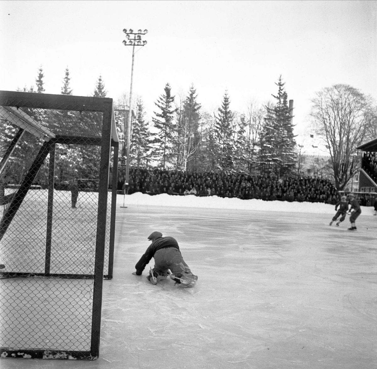 Bandy - IF Vesta - Brobergs IF, Studenternas Idrottsplats, Uppsala januari 1948