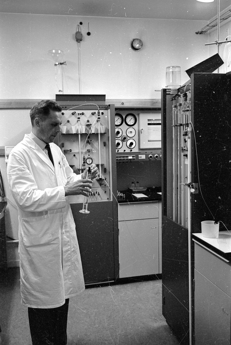 Kemist i arbete, Biokemiska institutionen, Uppsala universitet 1965