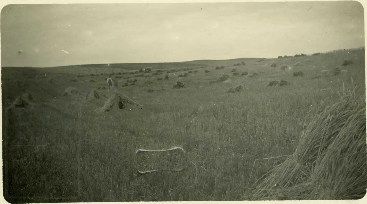 Kornåker med kornband i hauger på prærien i USA. 
