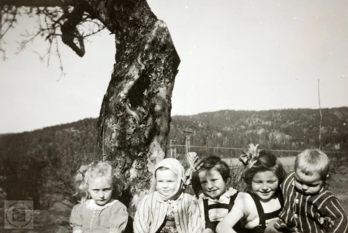 Barn på Smedsland, Grindheim Audnedal.