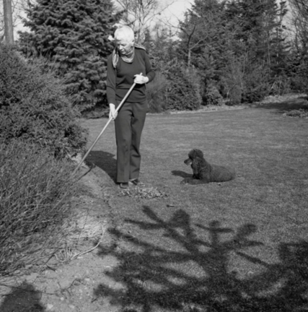 Bergljot Kverneland i hagen sin, mars 1974