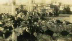 Fårehoder fra Aden.