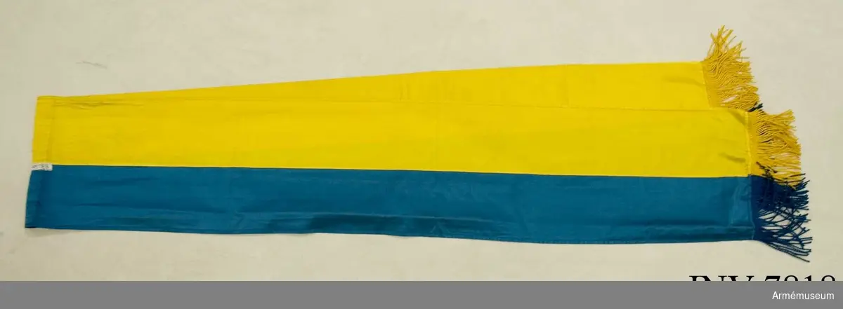 Hälften blå och hälften gul på längden sydd i sidentyg i kypert.  Frans av gult silke, 80 mm bred. För flygets fanor skall fransen vara hälften blå och hälften gul över respektive samma färg i sidenet.