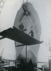 Før stabelavløpning av kjøleskipet M/S Mangocore, B/N 557 på