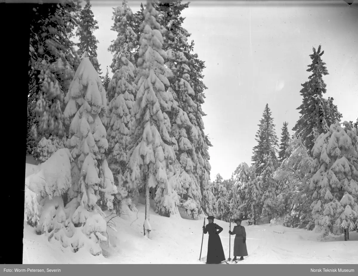 Frognerseteren,  vinter, snødekte trær, to kvinnelige skiløpere