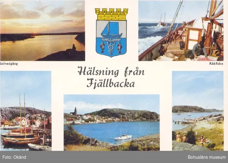 Tryckt text på kortet: "Hälsning från Fjällbacka".
"Solnedgång, Räkfiske, Hamnparti, Badliv".