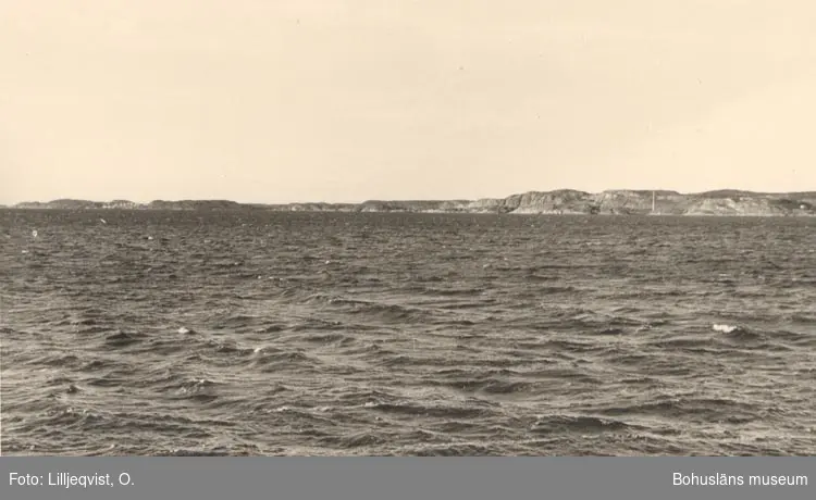 Älgöfjorden med Älgön i bakgrunden där skorstenen från guano- och trankokeriet, "Älgö pipa", kan skymtas.
