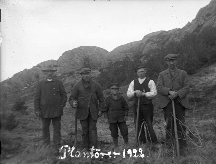 Skrivet på bilden: "Plantörer 1922."