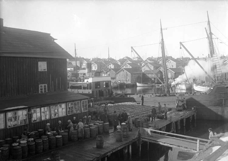 Smögens hamn omkring 1920