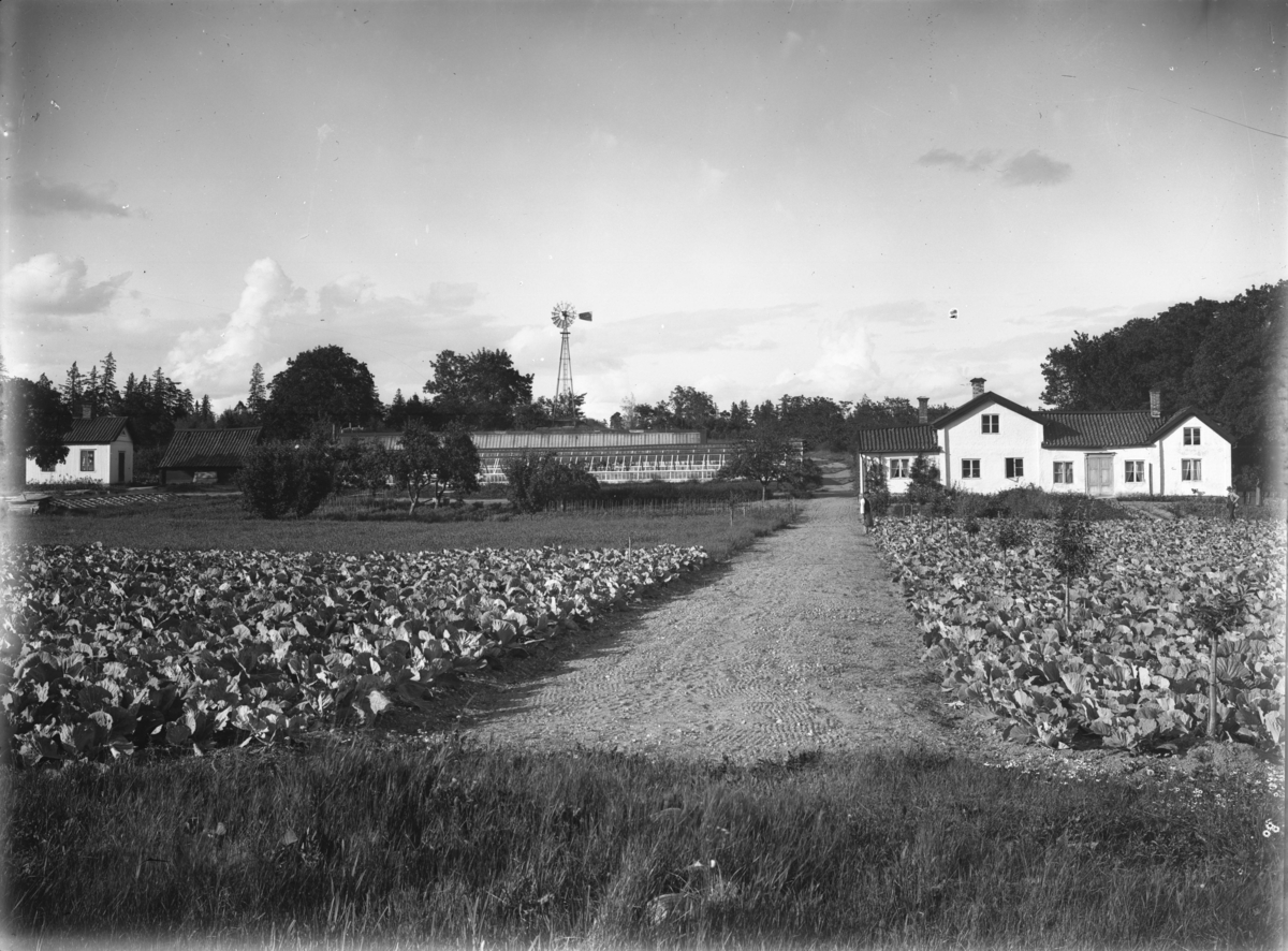 Handelsträdgård, Nya Bryggan (södra änden av Gröngarnsåsen), Enköping
