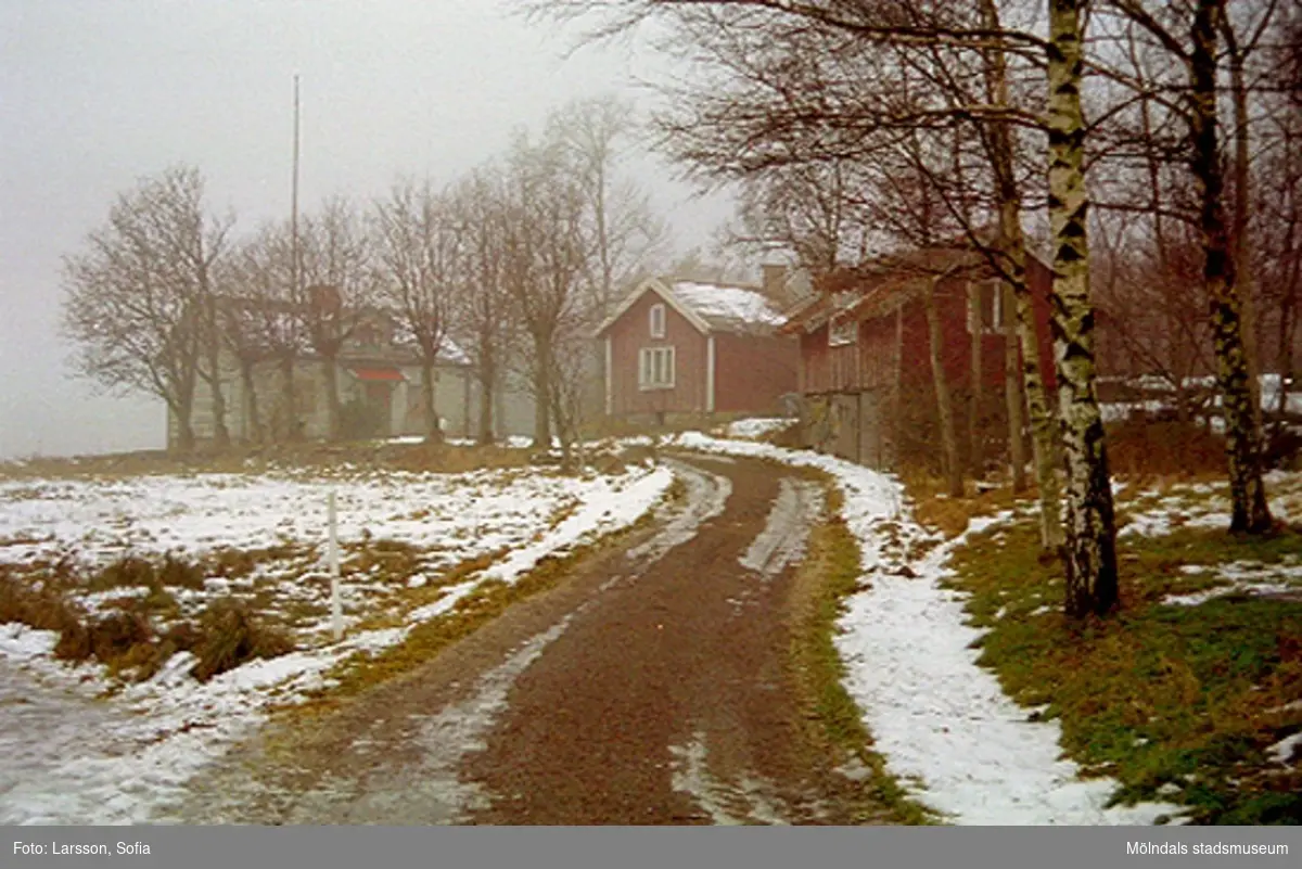 Gårdsmiljö vid Elof Lindälvs väg 77, Fagered 2:36, Lindome. 2002-01-07.