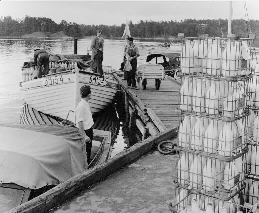 Posten till Möja lastas här i fiskebåten SM 154 vid Stavsnäs. 5
säckar post och ett lösgående paket, 700 liter mjölk, 30 liter grädde
och 3 passagerare är dagens transport. Transportörer är fiskarna
Nils-Magnus Westerman (längst t.h.) och Roland Jansson (längst t.v.)