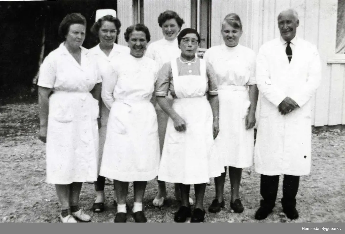 Personalet ved Hemsedal Bygdaheim i 1965.
Frå venstre: Guro Viljugrein, Torunn Fremgård, Lina Gram, Kristine Grøthe, Kari E. Haug, Hilde Fremgård og styraren Syver T. Baastø