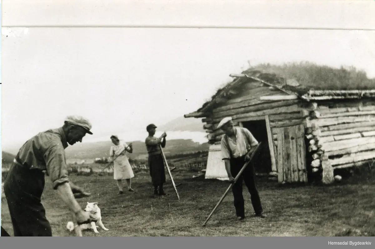 På stølen til Veslejordet i Hemsedal, ca. 1944.
Frå venstre: Olaf Lillejordet; Karoline Lillejordet; Ukjend; Ukjend.