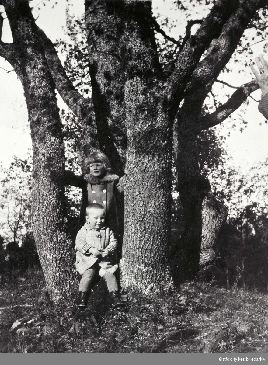 To små barn ved stort eiketre på Storøya i Lyseren, 1930-åra.