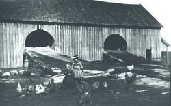 Barn og høns på tunet på gården Vestre Bråte i Hobøl, ca. 18