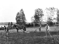 Pløying(?) med hest - og tre ukjente menn.